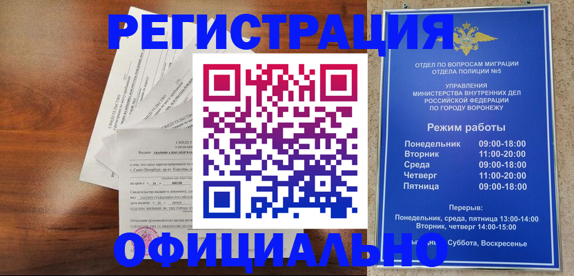 прописка поиск в Ермолино